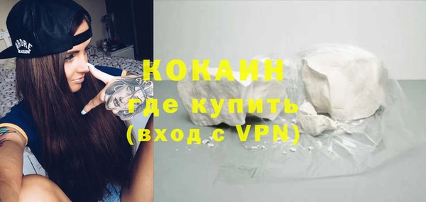 соль ск Алексин