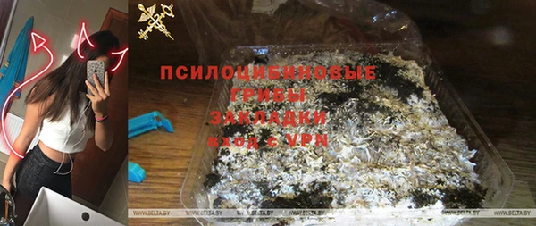 соль ск Алексин