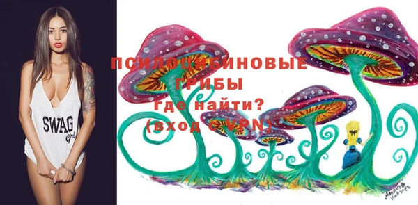 соль ск Алексин